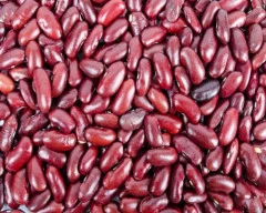 Normal Rajma for sale in Bhagalpur