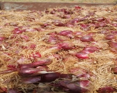 A Grade Quality Small Onion for sale in Anantapur