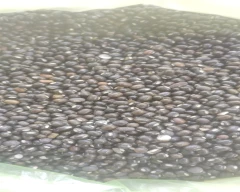 Indian Urad Dal for sale in Krishna