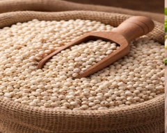 Normal Jowar for sale in Bapatla