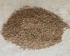 Normal Horse Gram for sale in Kolar