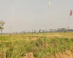 Normal Urad Dal for sale in Krishna