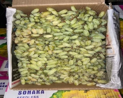 Normal Grapes for sale in Nagpur