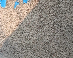 Normal Cowpea for sale in Annamayya