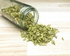 Normal Fennel Seeds for sale in Dungarpur