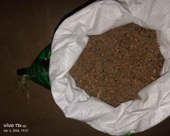 Normal Masoor for sale in Lakhimpur