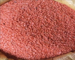 Indian Masoor Dal for sale in Ramanathapuram