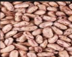 Normal Rajma for sale in Madhepura