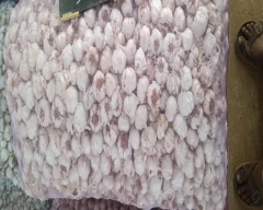 A Grade Quality Garlic for sale in Coimbatore
