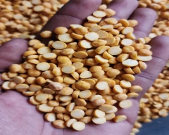 Besan Flour Chana for sale in Rajkot