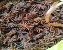 A Grade Quality Star Anise for sale in Cachar
