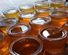 Multifloral Honey for sale in Alwar