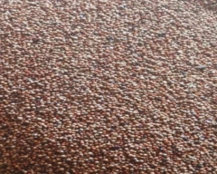 A Grade Quality Ragi for sale in Chikballapur