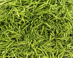 Hybrid Cluster Beans for sale in Dhule
