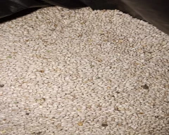 Normal Chia seed for sale in Bidar
