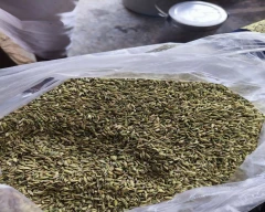 Normal Fennel Seeds for sale in Ajmer