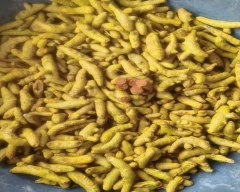 Erode Turmeric for sale in Erode
