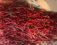 Teja Dry Chilli for sale in Kolkata