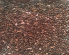 Normal Chia seed for sale in Harda