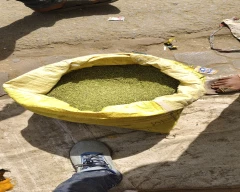 Normal Fennel Seeds for sale in Unnao