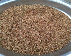 B Grade Quality Ragi for sale in Goalpara