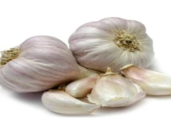 A Grade Quality Garlic for sale in Nagaur