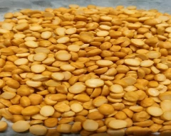 Indian Chana Dal for sale in Nagpur