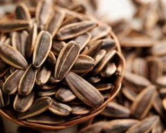 Normal Sunflower Seed for sale in Chengalpet