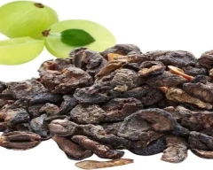 Dry Amla for sale in Shahdara
