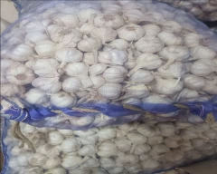 Normal Garlic for sale in Coimbatore
