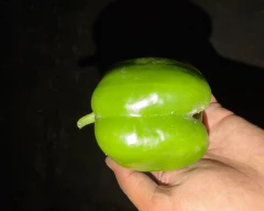 Normal Capsicum for sale in Ferozepur