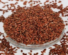 Normal Chia seed for sale in Narsinghpur
