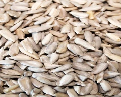 Dried Sunflower Seed for sale in Rajgarh