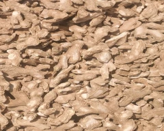 B Grade Quality Dried Ginger for sale in Haveri