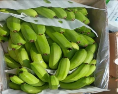 Cavendish Banana for sale in Jalgaon