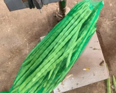 A Grade Quality Drumstick for sale in Rajkot