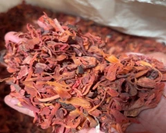 Pathri Mace Flower for sale in Idukki