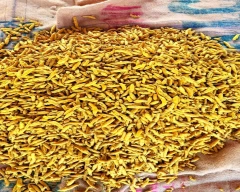 Erode Turmeric for sale in Nanded