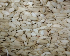Normal Pumkin seed for sale in Bharatpur