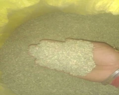 Normal Fennel Seeds for sale in Jhunjhunu