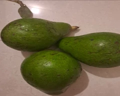 Normal Avocado for sale in Chikkamagaluru