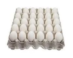 White Egg for sale in Ajmer