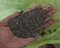 Normal Chia seed for sale in Nagpur