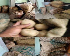 A Grade Quality Potato for sale in Puducherry