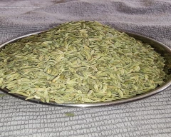 Other Fennel Seeds for sale in Surat