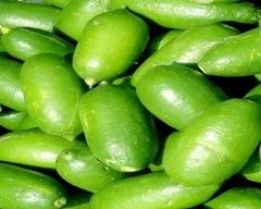 A Grade Quality Lemon for sale in Changlang