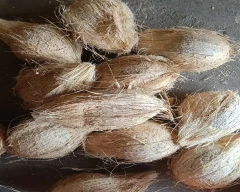 De Husked Coconut for sale in Erode