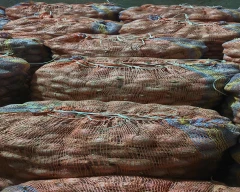 A Grade Quality Onion for sale in Satna
