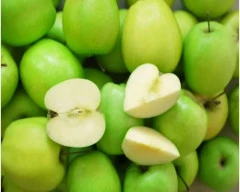 Green Apple required in Datia