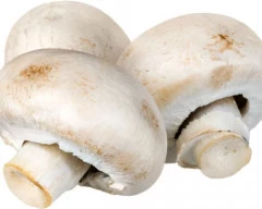 Button Mushroom required in Ahmednagar